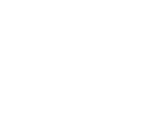 fci watermakers car detailers icon money