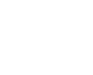 fci watermakers car detailers icon spotless